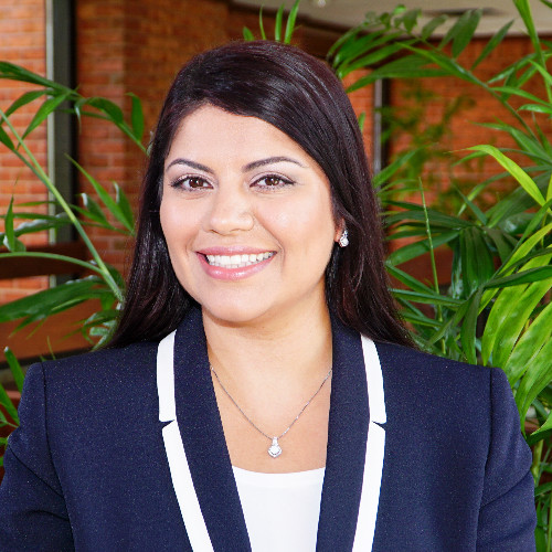 Sharareh Borhani Hoidra -  industry in Pikesville MD