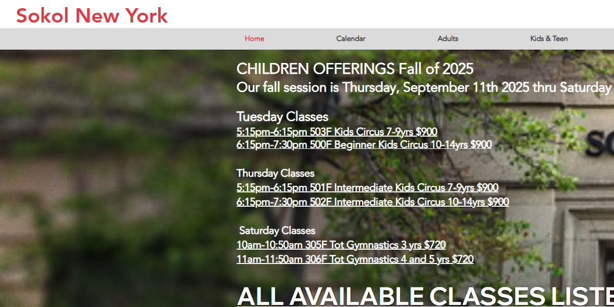 Sokol New York cover image