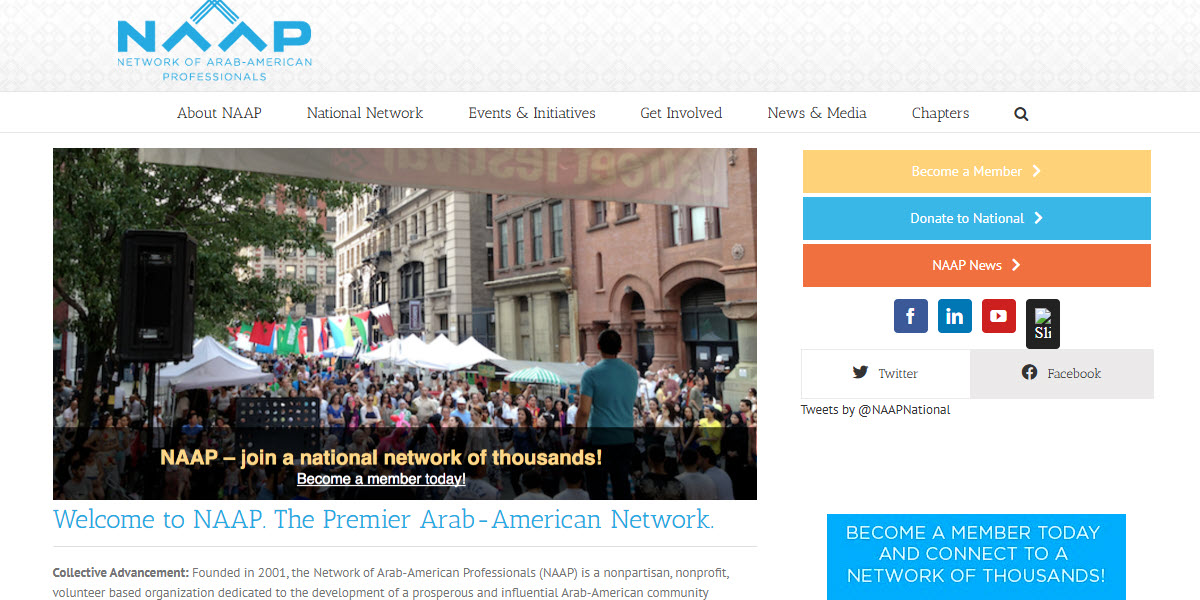 The Network of Arab American Professionals