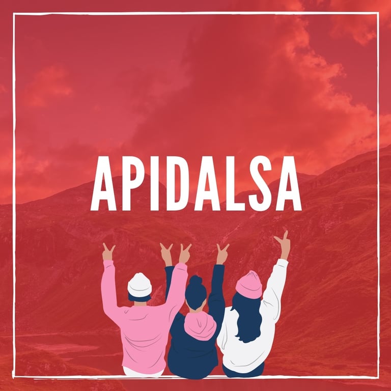 UW-Madison Asian Pacific Islander Desi American Law Students Association -  industry in Madison WI