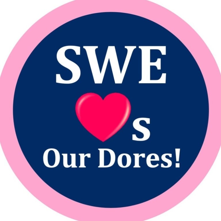 Vanderbilt Society of Women Engineers cover image