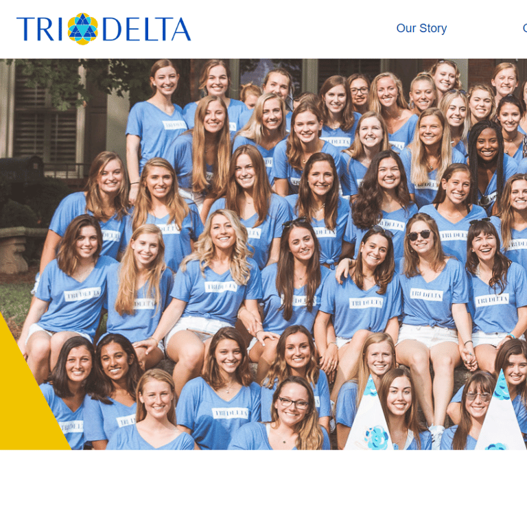 Vanderbilt Tri-Delta -  industry in Nashville TN