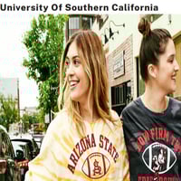 Victoria's Secret PINK USC cover image