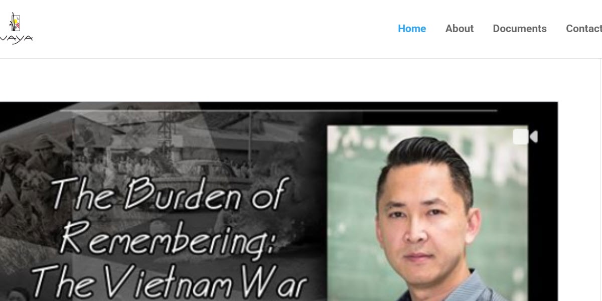 Vietnamese American Youth Alliance