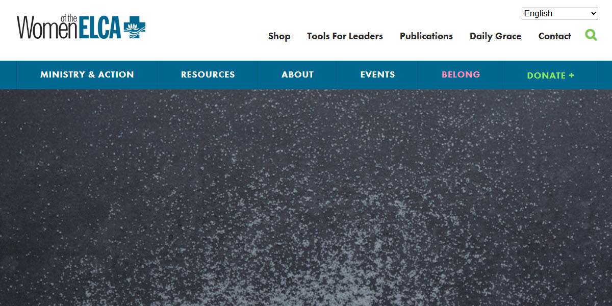 Women of the Evangelical Lutheran Church in America -  industry in Chicago IL