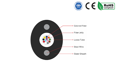 Metal Strength Member FTTH Fiber Drop Cable GYXTPY  FIBERFUTURE
