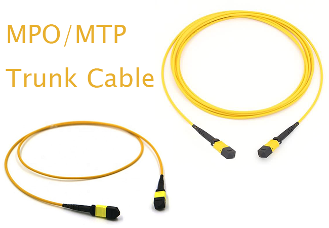 What Are MPO/MTP Trunk Cables？