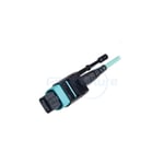 12F 24F 48F 72F 96F 144F High Density Fiber Cable MPO MTP