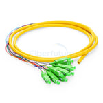 12 Fibers Bunch Type Fiber Optic Pigtail