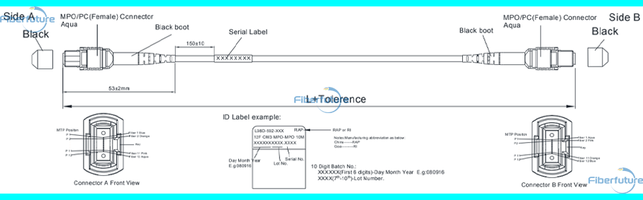 MPO Fiber Cable Assembly Technical Data Sheet 