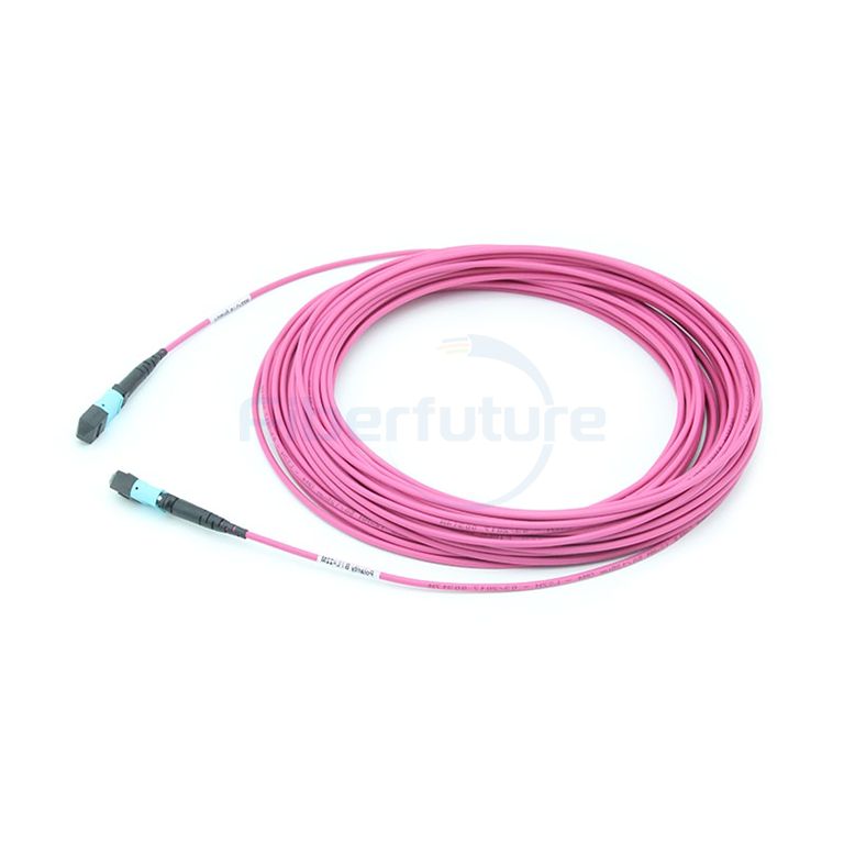 MTP-MTP Patch Cable , 24F MTP-MTP Trunk Cable