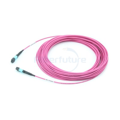 MTP-MTP Patch Cable , 24F MTP-MTP Trunk Cable