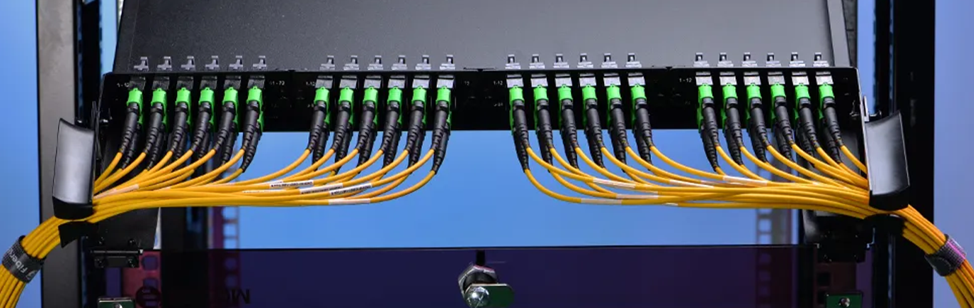 MPO MTP Loopback