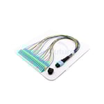 24 Cores MTP LC Fanout Cable 0.9mm 