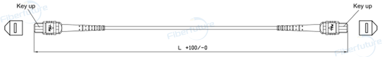 12F Armored MPO/MTP trunk cable