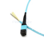 12F Armored MPO/MTP trunk cable