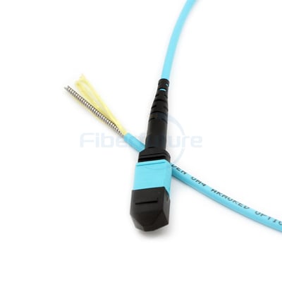 12F Armored MPO/MTP trunk cable