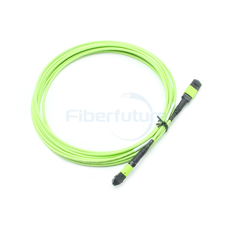 MTP-MTP Patch Cable , 24F MTP-MTP Trunk Cable