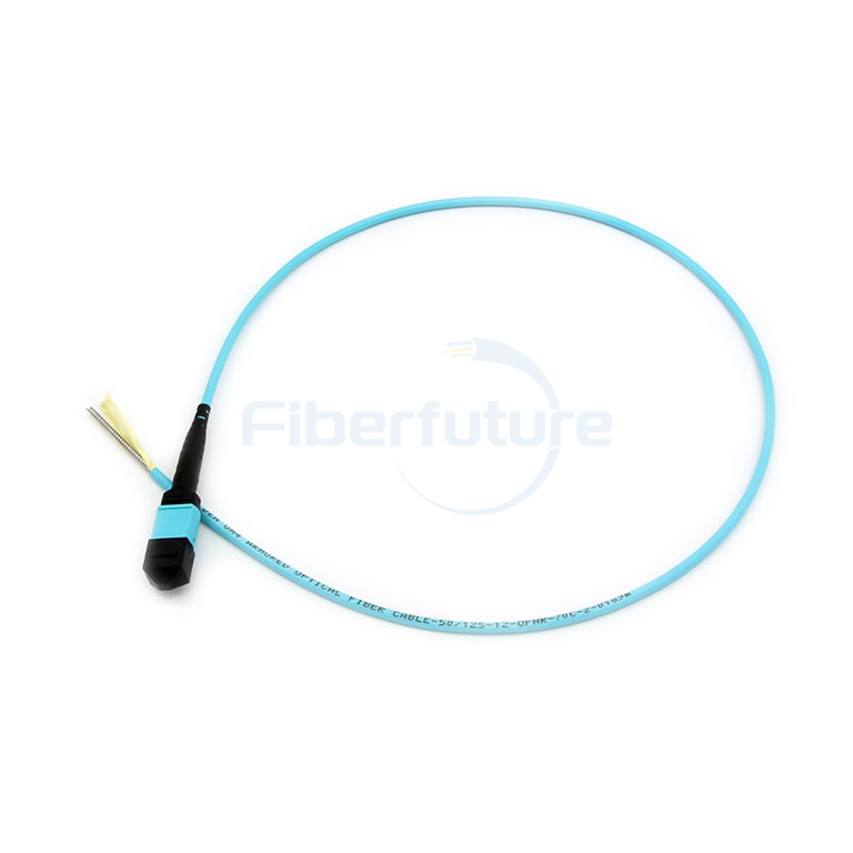12F Armored MPO/MTP trunk cable
