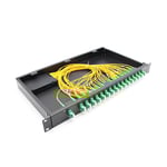 19' Rack Mount FTTH PLC Splitter 1xn 2xn