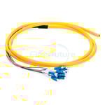 12 Fibers Bunch Type Fiber Optic Pigtail