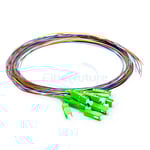 12 Fibers Bunch Type Fiber Optic Pigtail