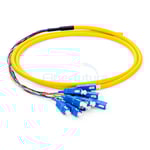 12 Fibers Bunch Type Fiber Optic Pigtail