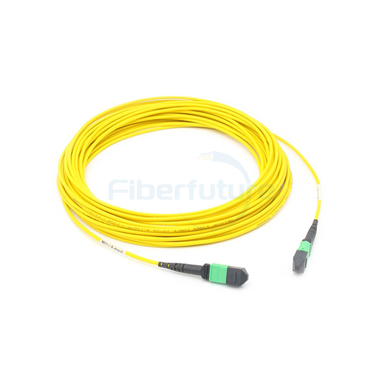 MTP-MTP Patch Cable , 24F MTP-MTP Trunk Cable