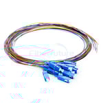 12 Fibers Bunch Type Fiber Optic Pigtail