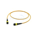 Data Communication Network MPO/MTP Trunk Cable