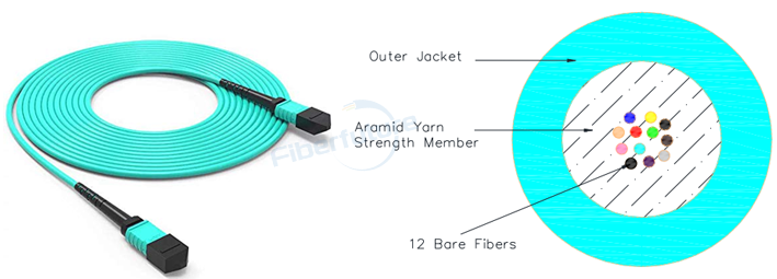 MPO Fiber Cable Assembly Technical Data Sheet 