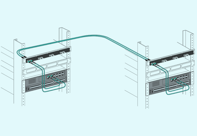 MPO MTP Trunk Cables