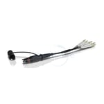 Mini IP MPO MTP Fiber Optic Patch Cable REACH Materials Compliant