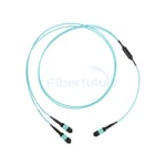 Y Model MPO/MTP Trunk Cable Supports 40G and 100G Network