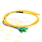 12 Fibers Bunch Type Fiber Optic Pigtail