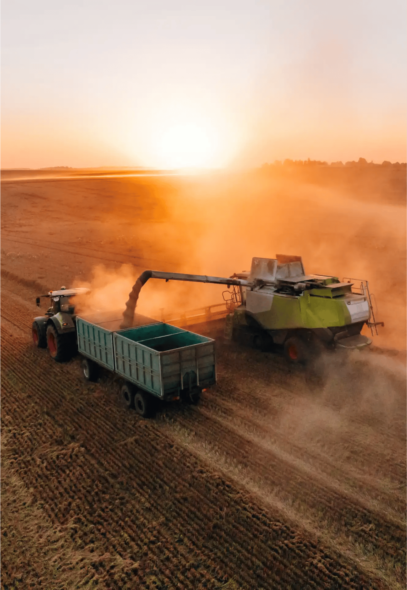 Combine harvester unloading grain into a trailer at sunset