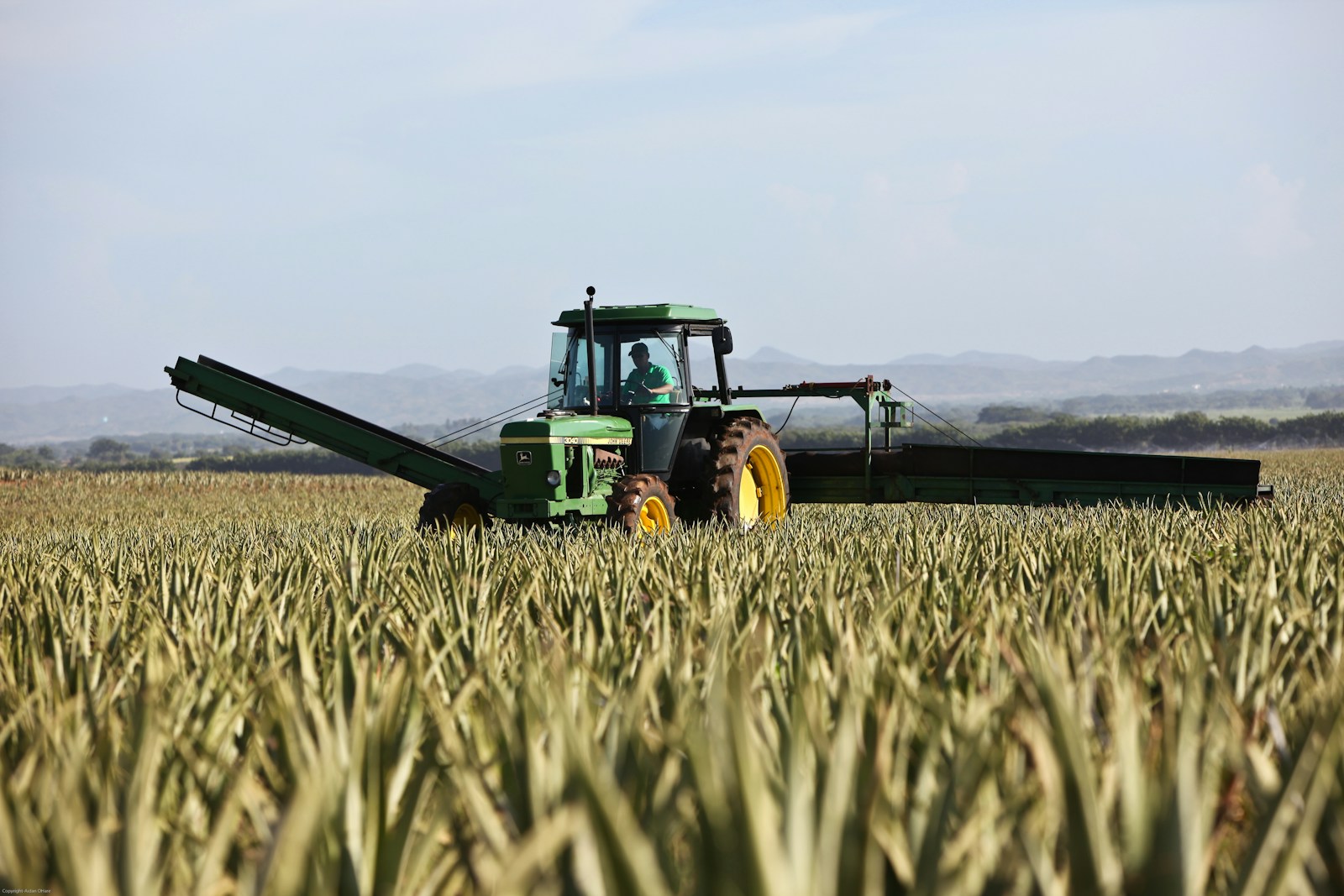 row of agricultural equipment farm machinery