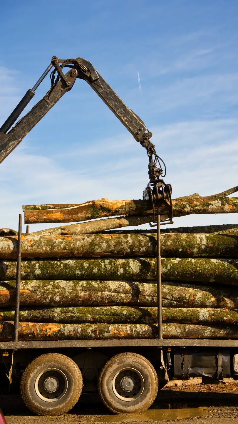 Knuckle-boom grapple loading logs onto a stake-sided log trailer under a blue sky