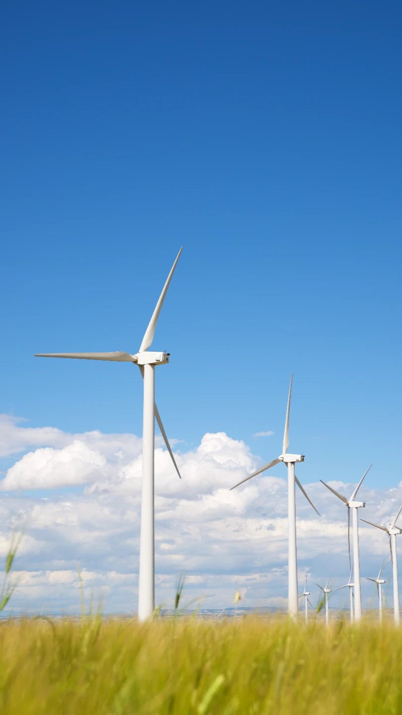 Wind turbines lined across a grassy plain under clear blue sky