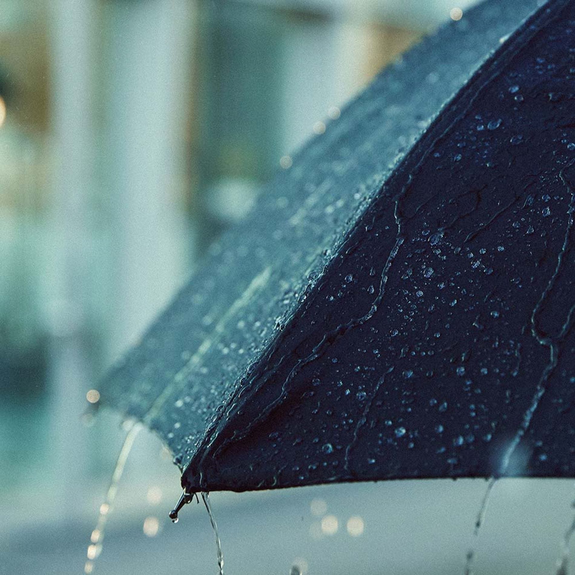 widex moment umbrella 1000x1000 moment the audiology place