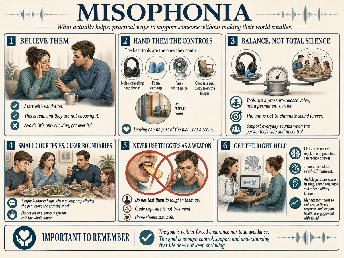 Helping Misophonia - The Audiology Place misophonia infographic showing six coping tips validate them provide controls balance sounds polite boundaries avoid using triggers and get help helping misophonia helping misophonia the kindest thing you can do is not always the most helpful the audiology place