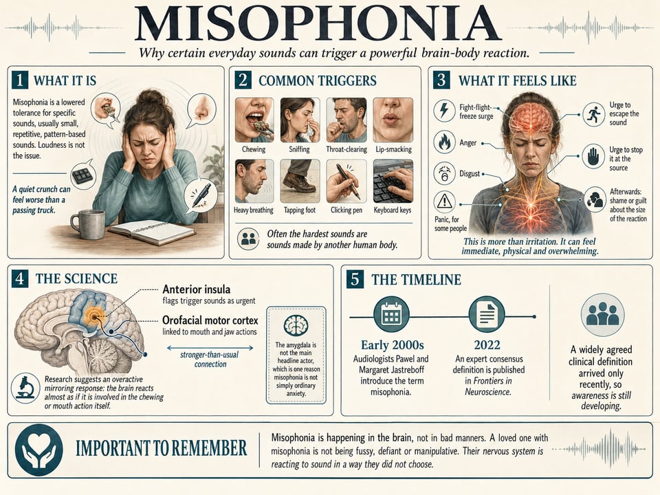 What is Misophonia - The Audiology Place infographic titled misophonia outlining what it is common triggers sensations science and a timeline with illustrations and diagrams what is misophonia the audiology place sydney independent hearing clinic
