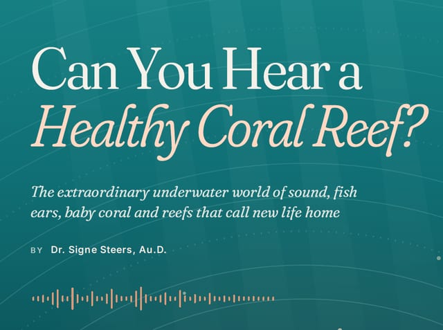 Can you hear a Coral Reef? - The Audiology Place poster like teal image with the headline can you hear a healthy coral reef and a cursive subtitle about the underwater world of sound includes a coral reef themed background and a waveform graphic at the bottom can you hear a coral reef can you hear a healthy coral reef the audiology place