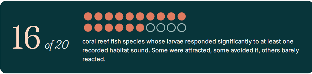Screenshot 731 - The Audiology Place slide 16 of 20 coral reef fish species whose larvae responded significantly to at least one recorded habitat sound some were attracted some avoided it others barely reacted a row of orange dots responses and gray outlined circles accompany the text screenshot 731 can you hear a healthy coral reef the audiology place
