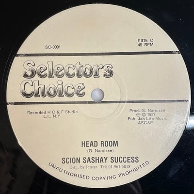 Scion Success - No Worry You Mind picture 2