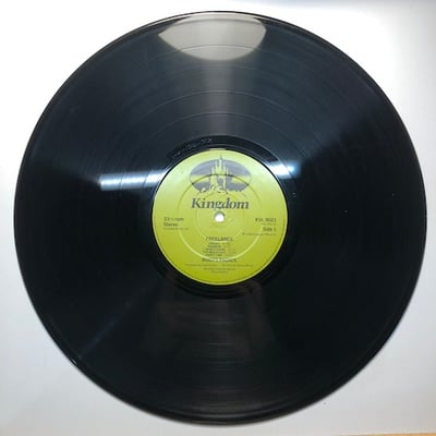 The Roots Radics - Freelance picture 3