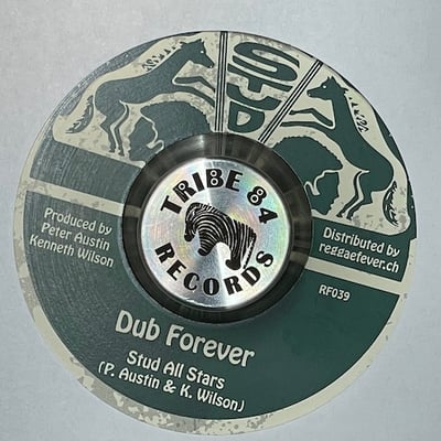 Sir Harry - Live Forever picture 2