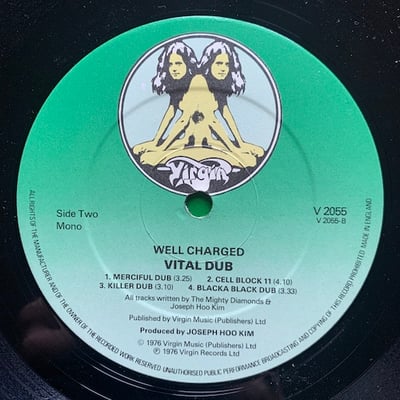Well Charged - Vital Dub picture 3