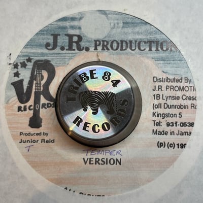 Terry Ganzie - The Fire picture 2