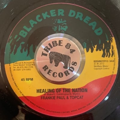 Gappy Ranks, Frankie Paul, Top Cat - I Remember / Healing Of The Nation picture 2